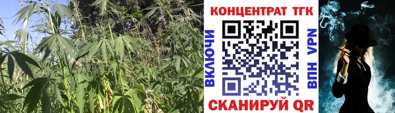 Купить закладки  Ершов  Дистиллят ТГК вейп 