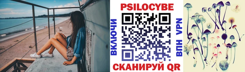 Купить где  Ершов  Псилоцибиновые грибы ЛСД 